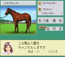 Snapshot
